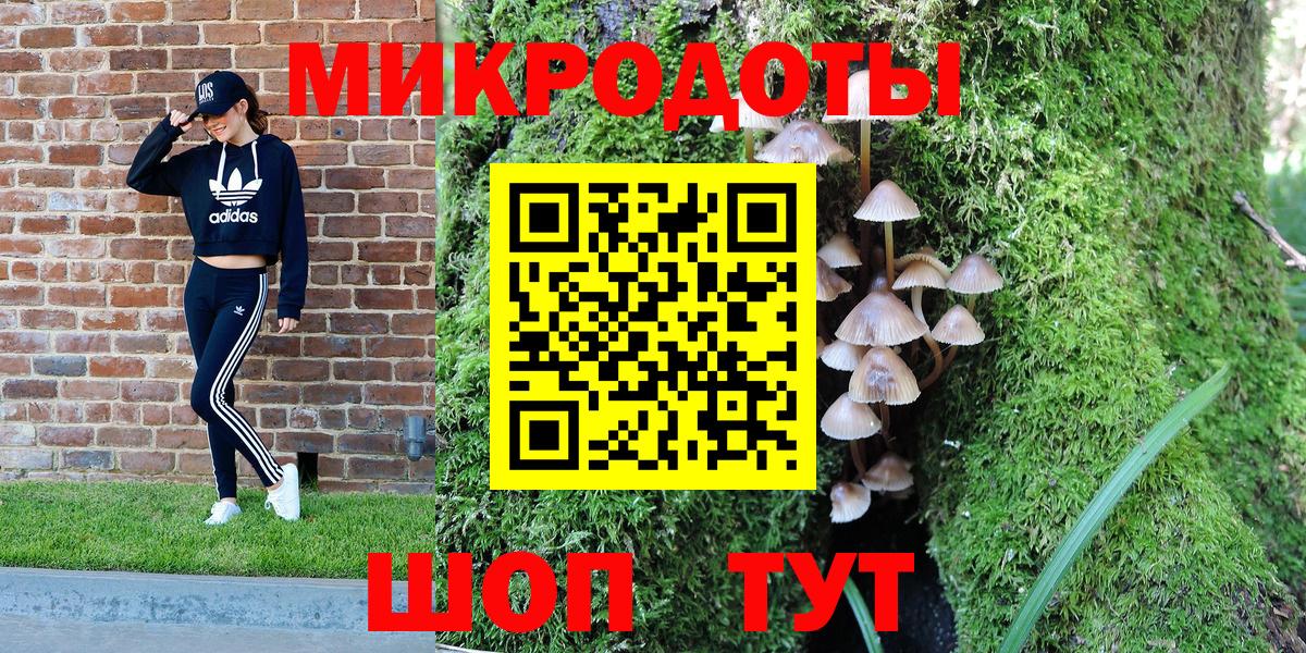 Псилоцибиновые грибы мицелий Сергиев Посад